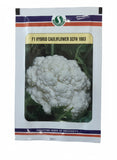 Sungro 1003 10gm Cauliflower Seeds