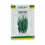 Mahyco TARJINI 10gm
