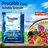 Pro Gibb