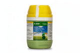 BASF Xelora Fungicide