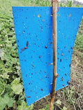 Blue Sticky Trap A5 Size