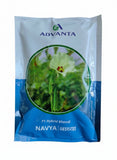 Advanta Navya F1 hybrid bhindi seeds high yield early dark green okra ladyfinger seeds for farming and home gardening
