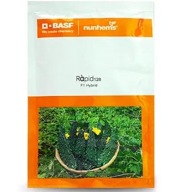 BASF Rapid 128 bitter gourd seeds producing early high yield dark green uniform karela fruits for farming
