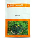 BASF Rapid 128 bitter gourd seeds producing early high yield dark green uniform karela fruits for farming