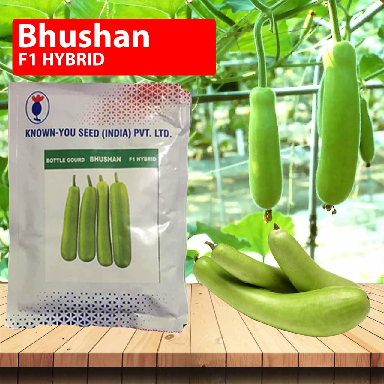 Bhushan F1 hybrid bottle gourd seeds 10gm high yield lauki seeds for farming in India