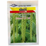 Chia Tai Unnat CT 108 bitter gourd seeds producing dark green uniform high yield karela fruits suitable for commercial farming