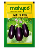 Mahyco 205 Hybrid Brinjal Seeds (Baingan) – High Yield Hybrid Variety