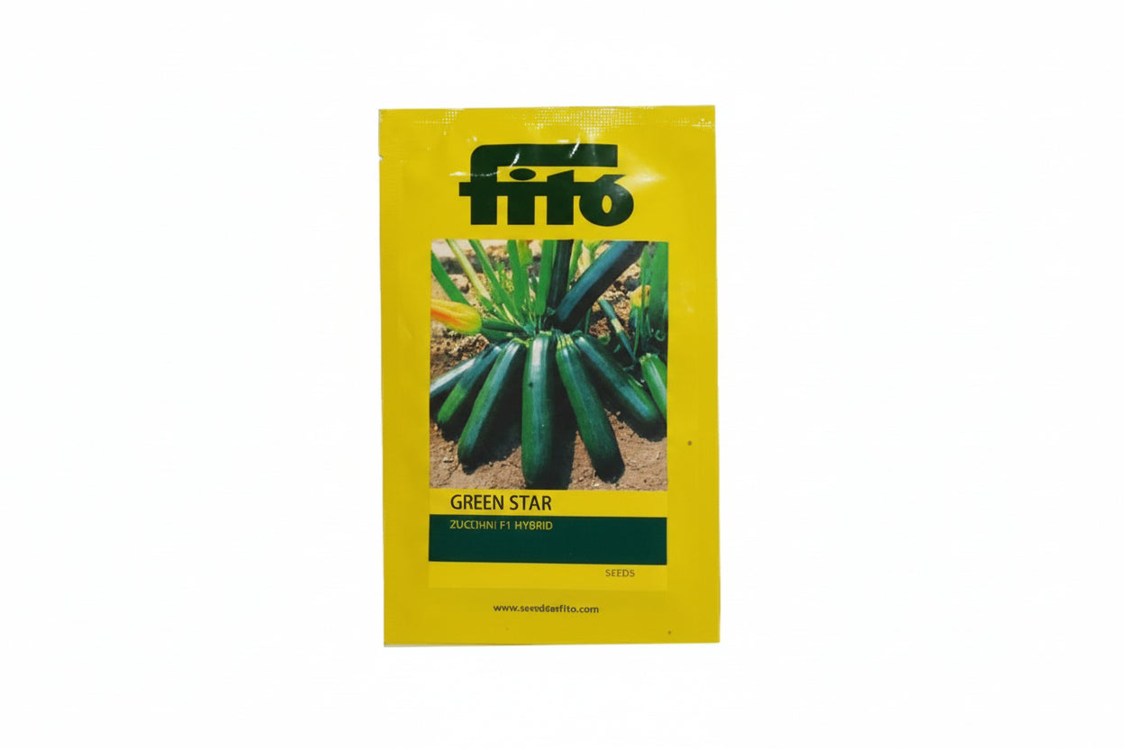 Fito Green Star squash seeds F1 hybrid high yield cylindrical green squash variety for commercial farming and kitchen gardening India