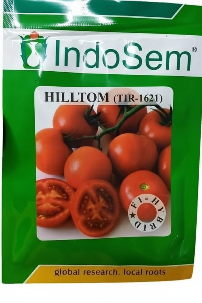 Indosem Hilltom TIR 1621 hybrid tomato seeds high yield round red tomato variety for commercial farming India