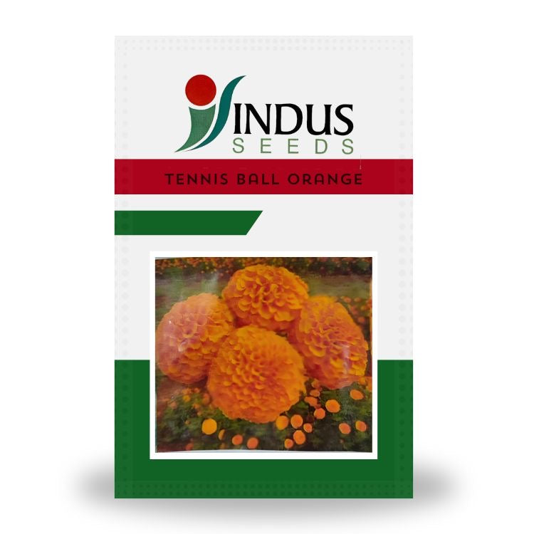 ndus Tennis Ball Orange Marigold seeds high yield hybrid deep orange ball shaped genda flower seeds for farming and home gardening