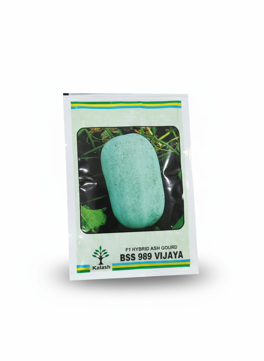 Kalash BSS 989 VIJAYA Ashgourd Seeds high yield hybrid winter melon safed kaddu seeds for farming and home gardening