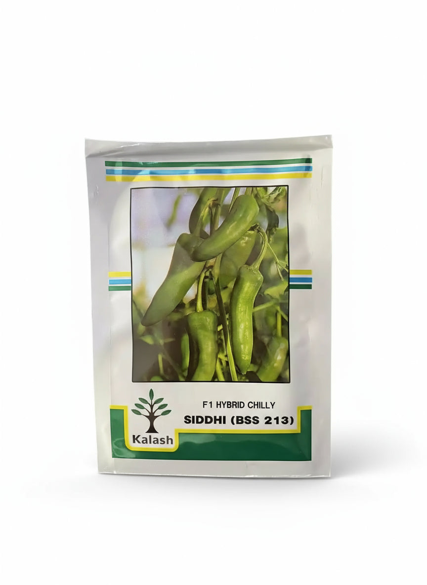 Kalash Siddhi BSS 213 F1 hybrid chilli seeds high yield spicy green mirchi variety for commercial farming India