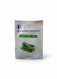 Known You Seed Rucha F1 hybrid cucumber seeds high yield premium green kheera variety for commercial farming India