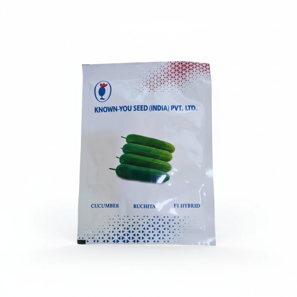 Known You Seed Ruchita F1 hybrid cucumber seeds high yield green kheera variety for commercial farming India