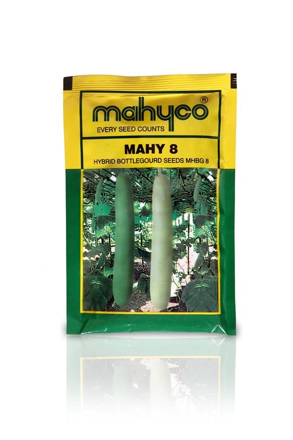 Mahyco Mahy 8 hybrid bottle gourd seeds high yield lauki seeds for farming and kitchen garden