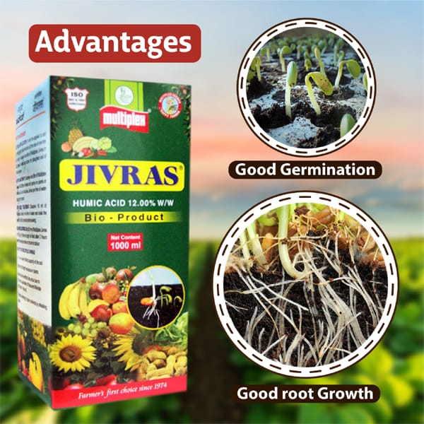 Multiplex Jivras Biostimulant with Humic Acid 12 percent and Fulvic Acid 2 percent for improved crop growth and soil health