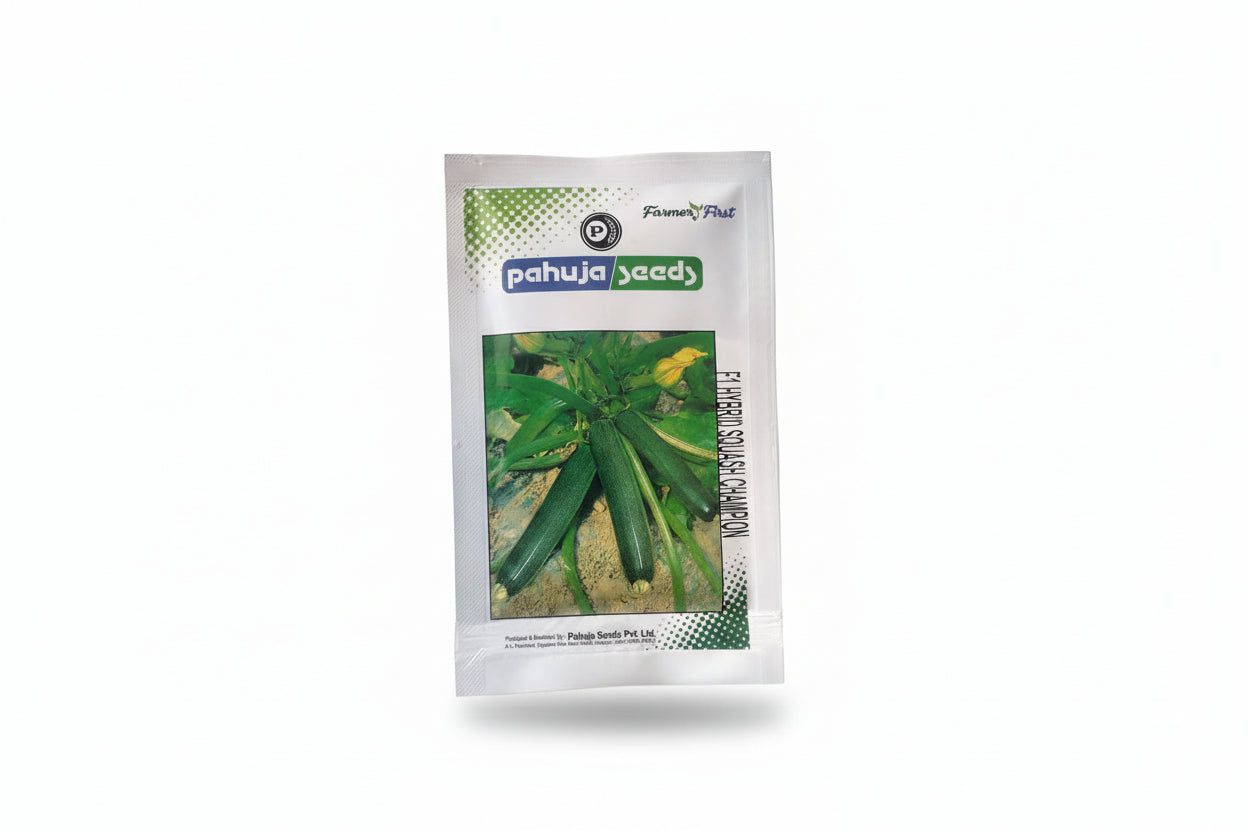 Pahuja Squash Champion seeds high yield cylindrical green squash variety for commercial farming and kitchen gardening India