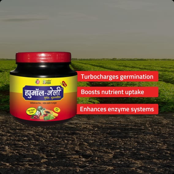 PATIL HUMOL JELLY humic acid jelly fertilizer for better soil health and healthy crop growth