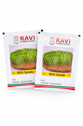 RHS Sarada F1 Hybrid Okra Seeds Close View Ravi Seeds