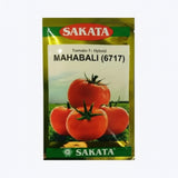 Sakata Mahabali 6717 F1 hybrid tomato seeds high yield deep red firm tomato variety for commercial farming India