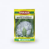 Sakata White Everest F1 hybrid cauliflower seeds producing snow white compact curds high yield gobhi seeds for farming and gardening