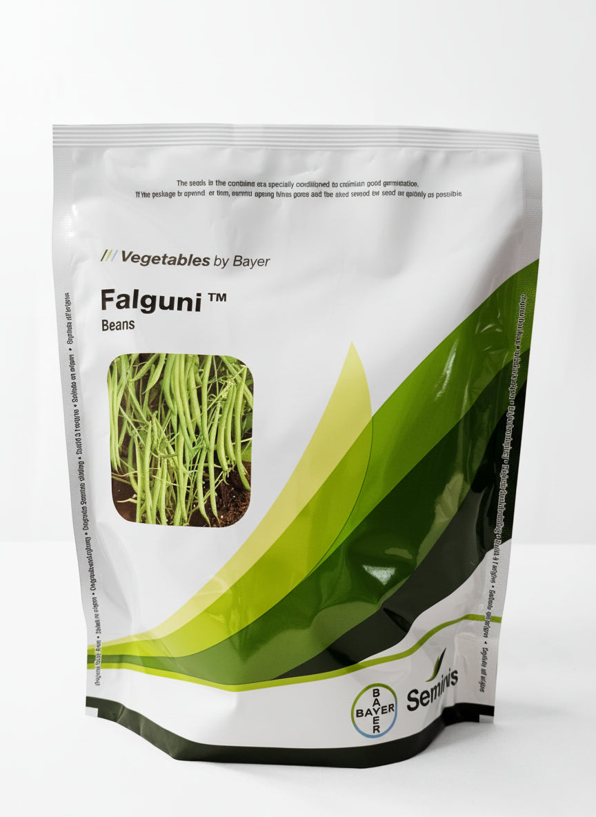 Seminis Falguni Beans Seeds high yield french beans bush type green beans seeds for farming and home gardening