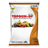 SML Top Gun DF Copper Oxychloride 50% WG fungicide for Downy Mildew in grapes and Anthracnose control in mango crops