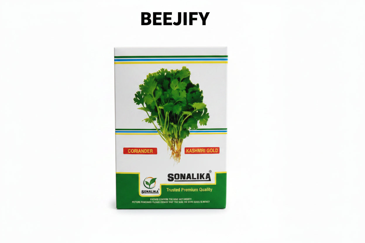 Sonalika Kashmiri Gold coriander seeds 500gm high yield aromatic dhaniya seeds for farming in India