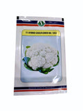 Sungro 1053 F1 Hybrid Cauliflower Seeds – High Yield Early White Curd Gobhi Seeds for Farming & Home Gardening