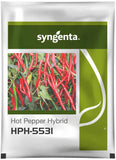 Syngenta HPH 5531 F1 hybrid chilli seeds high yield spicy green mirchi variety for commercial farming India