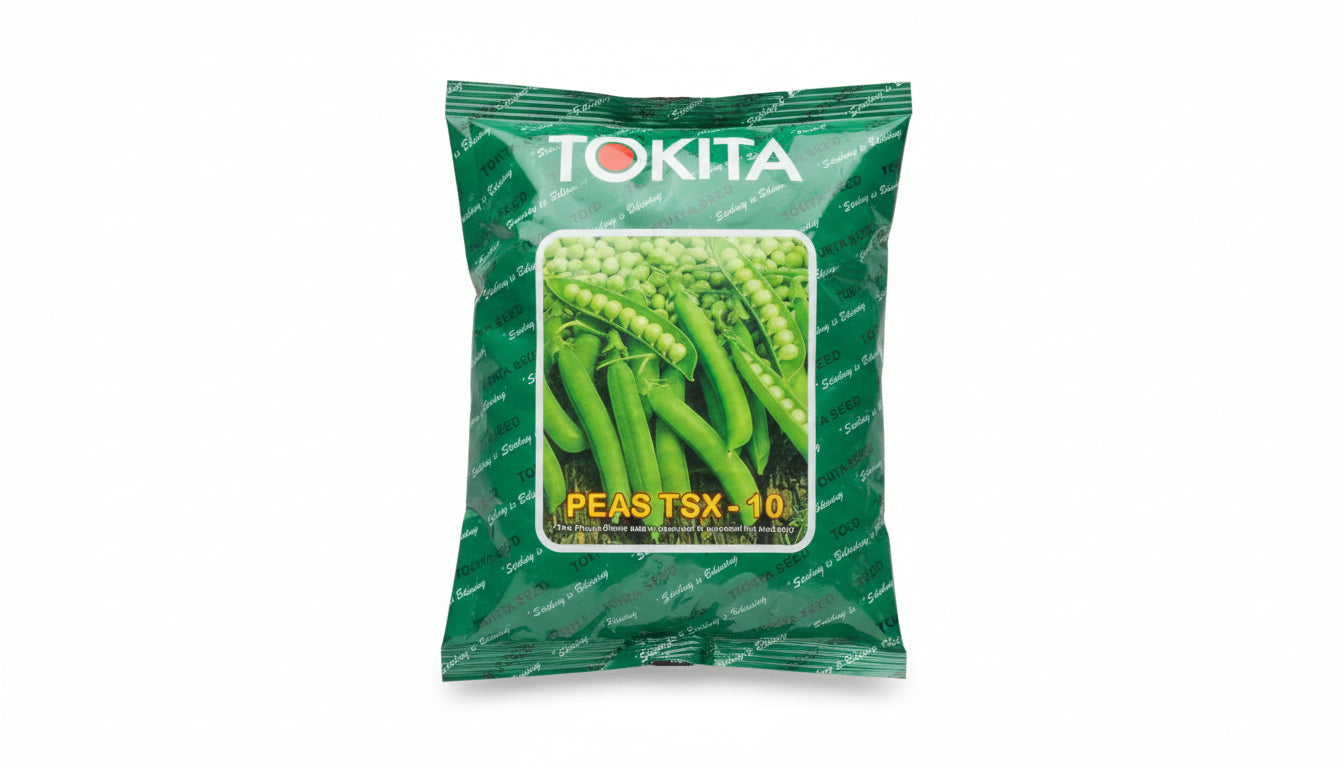 Tokita TSX-10 green pea seeds high yield sweet tender pea variety for commercial farming and kitchen gardening India