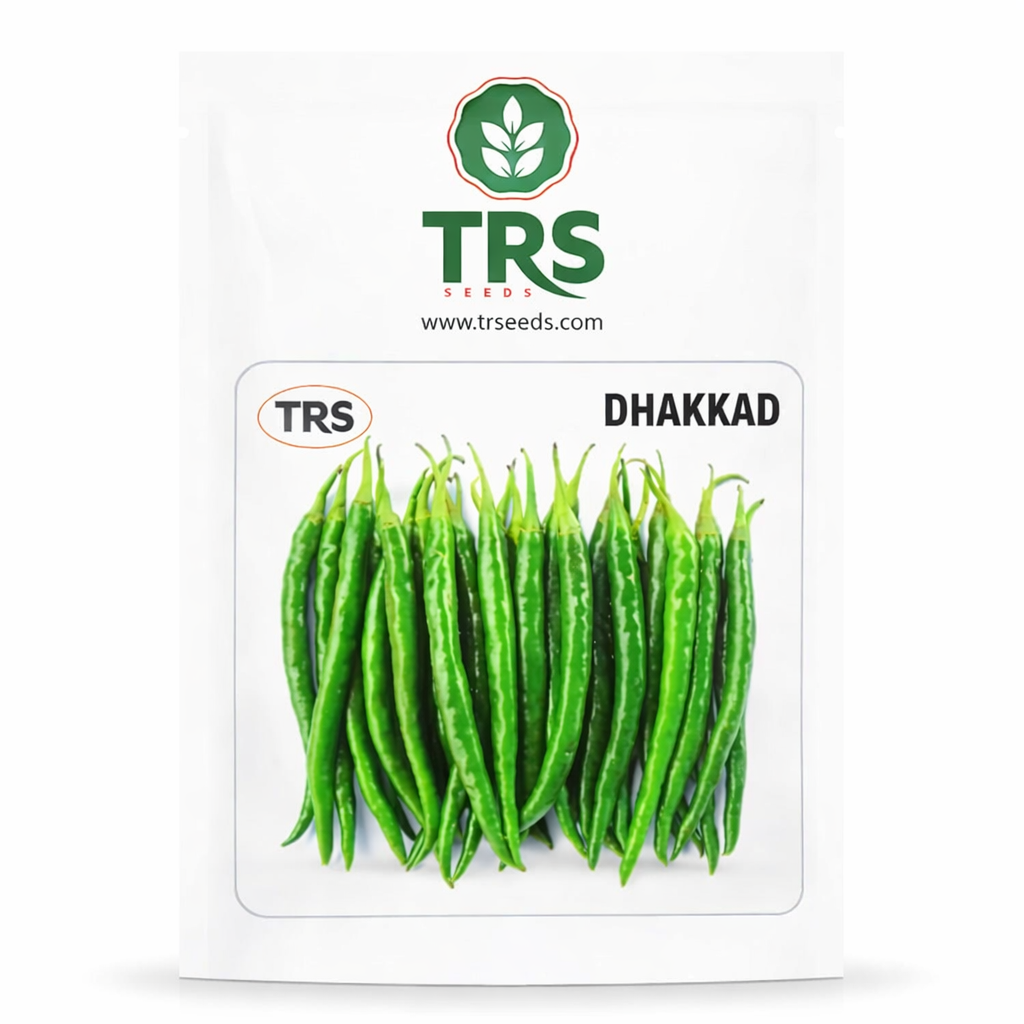 TRS Dhakad chilli seeds high yield hybrid mirchi beej