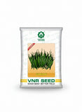 VNR Sunidhi F1 hybrid chilli seeds high yield spicy green mirchi variety for commercial farming India