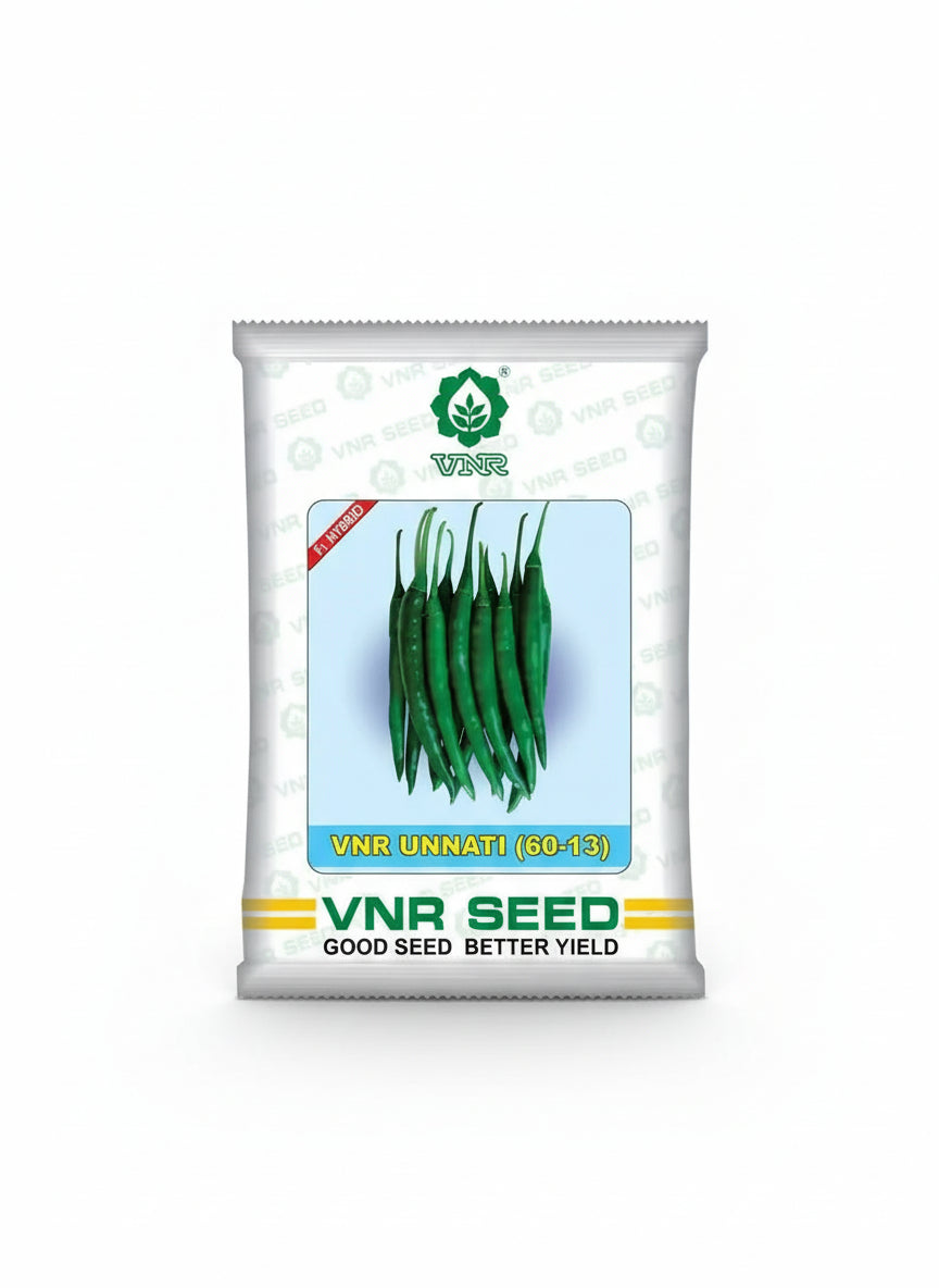 VNR Unnati 60-13 F1 hybrid chilli seeds high yield spicy green mirchi variety for commercial farming India