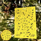 Yellow sticky trap A5 size for monitoring whiteflies, aphids, and flying crop insects