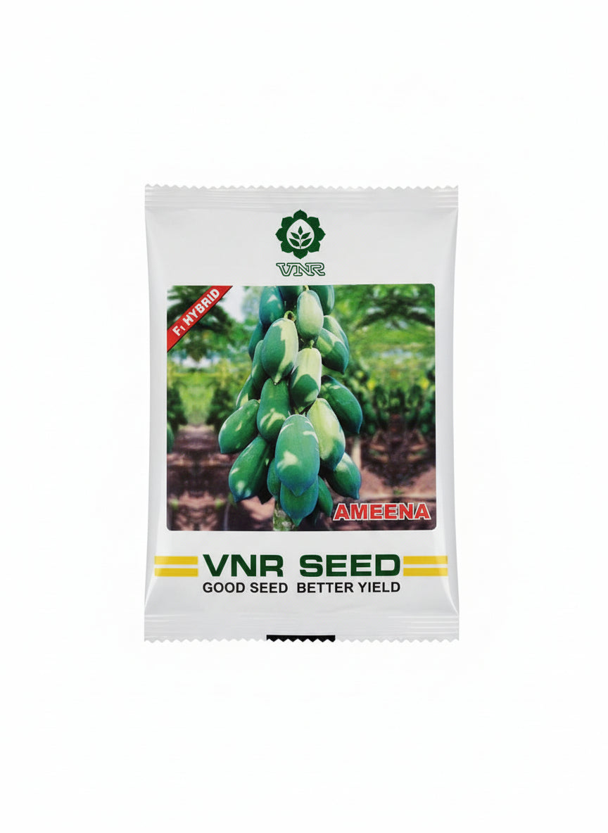 VNR AMEENA PAPAYA SEED 10 Gram