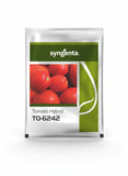 सिंजेंटा टीओ 6242 3000