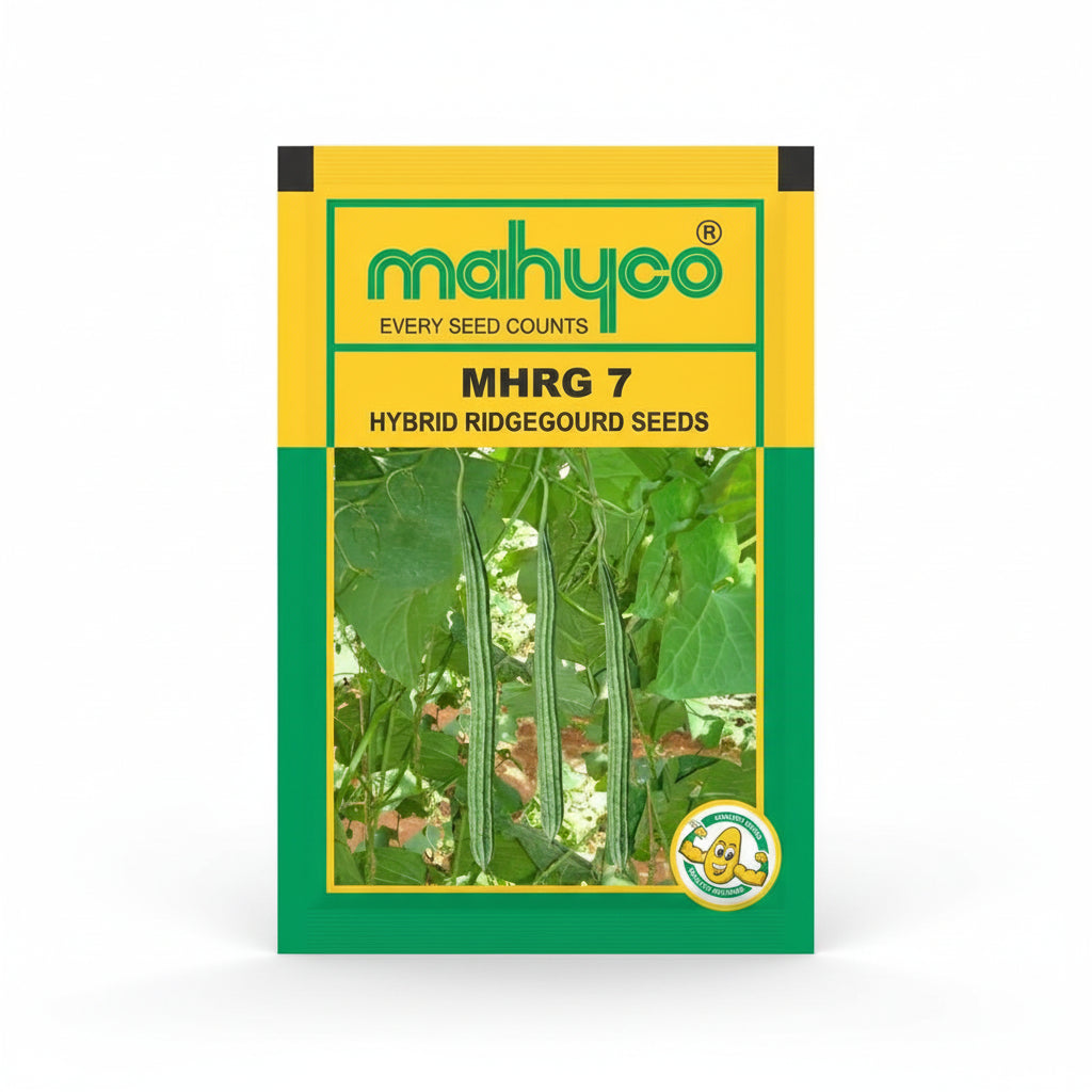 Mahyco MRHG 7 Ridgegourd Seeds 10gm