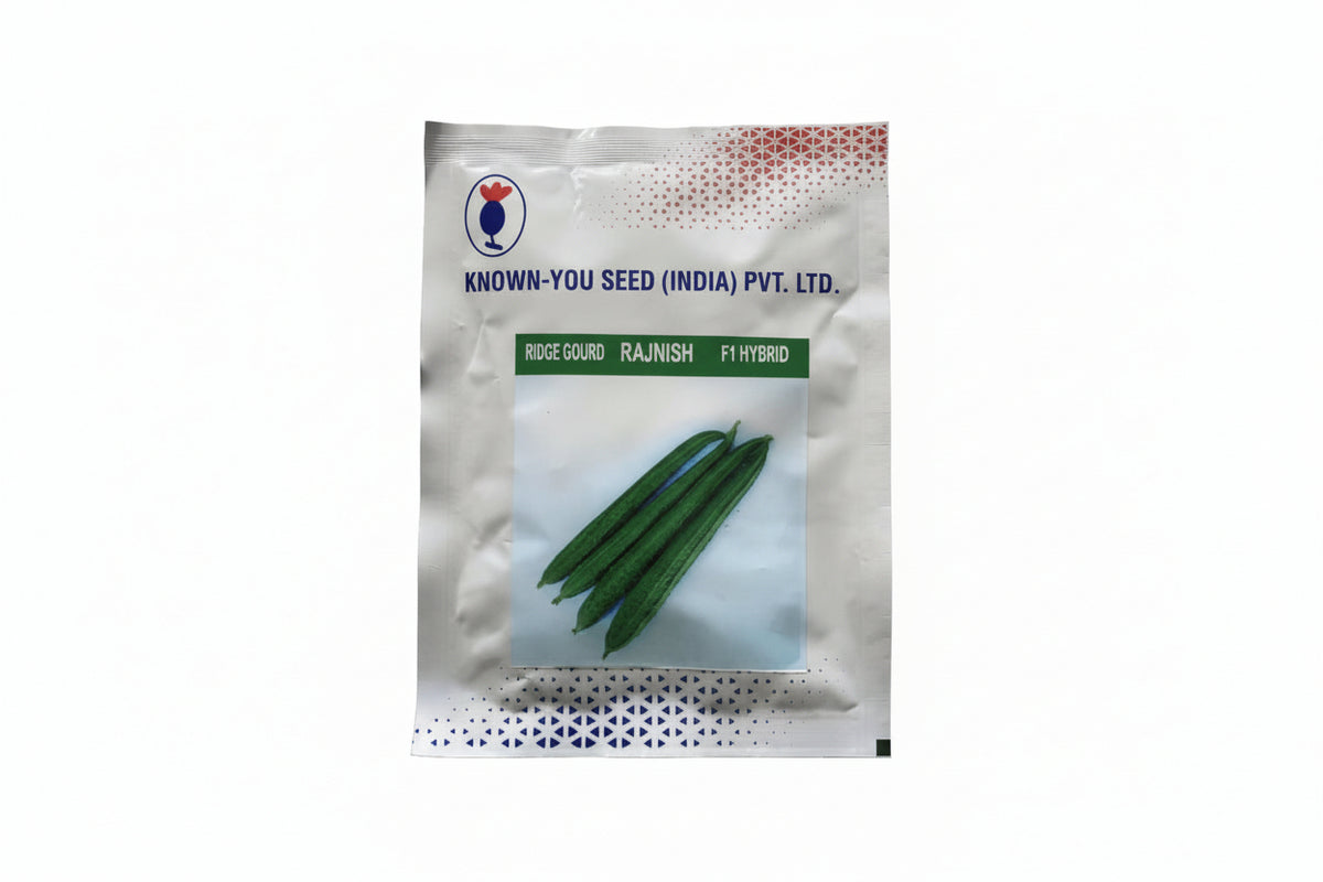 Known You Seed Rajnish Ridge Gourd Seeds – High Yield Premium Turai (Ridge Gourd) for Commercial Farming