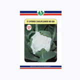 Sungro 626 Hybrid 10gm Cauliflower Seed