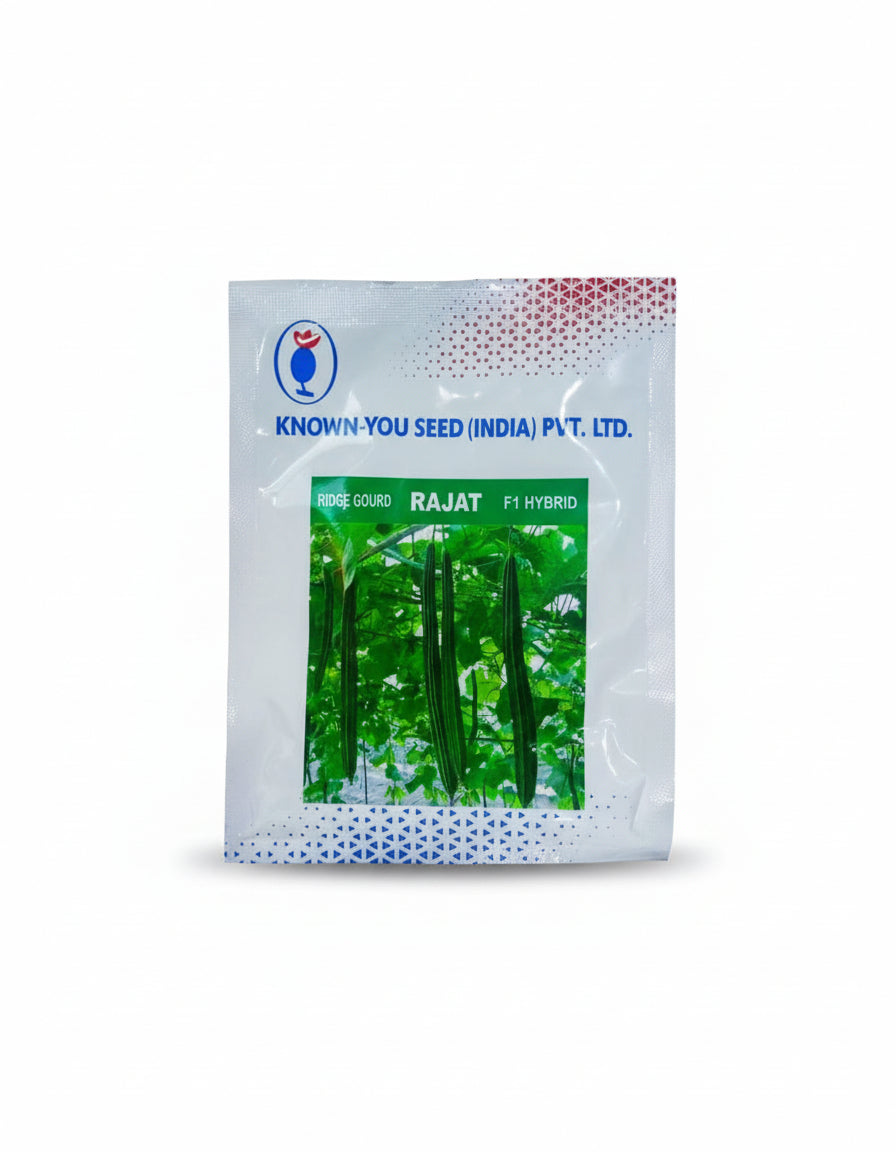 Known You Seed Rajat Ridge Gourd Seeds – High Yield Premium Turai (Ridge Gourd) for Commercial Farming
