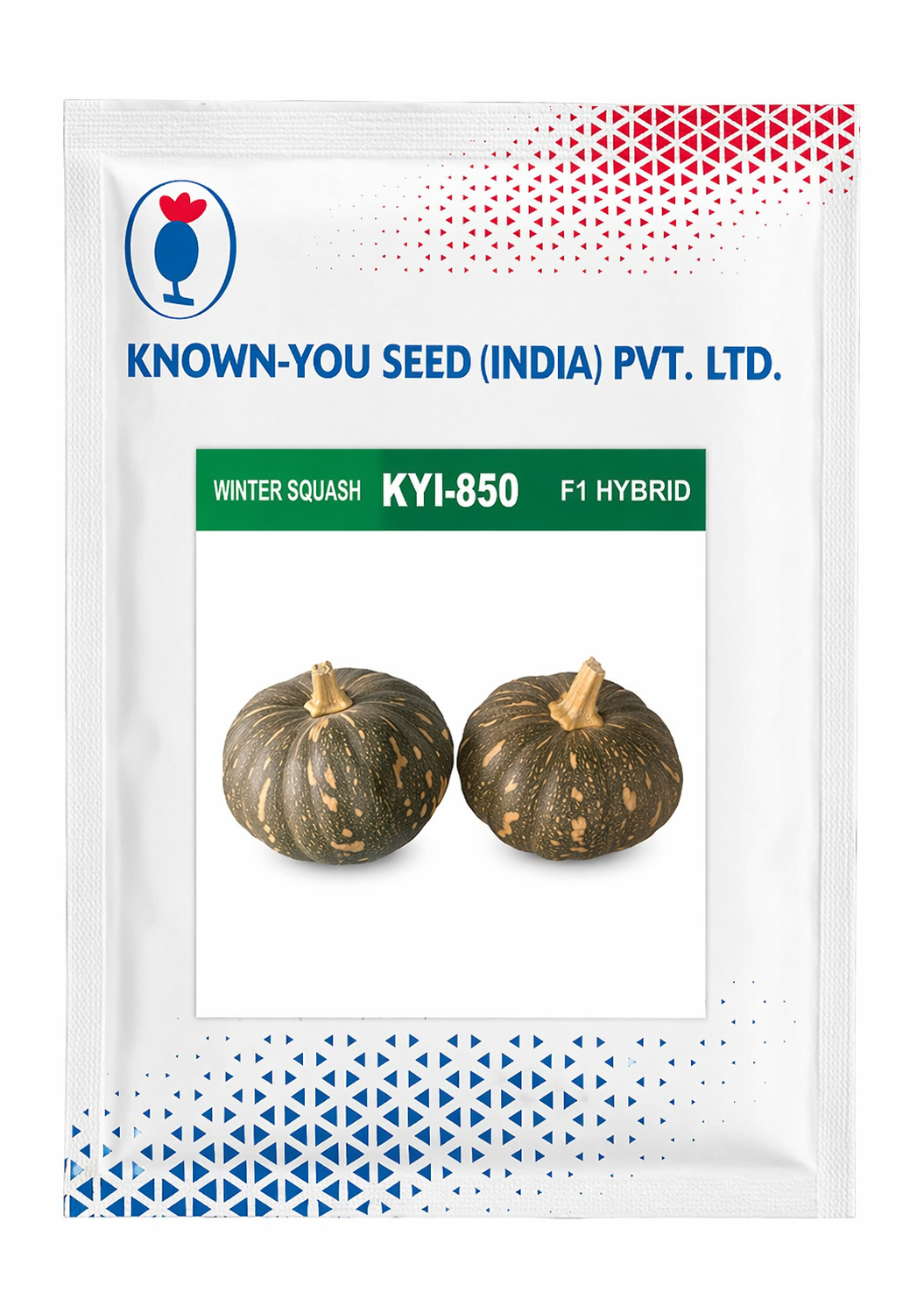 KYI-850 winter squash F1 hybrid seeds with dark green round pumpkin