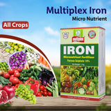 Multiplex Iron Micronutrient Fertilizer