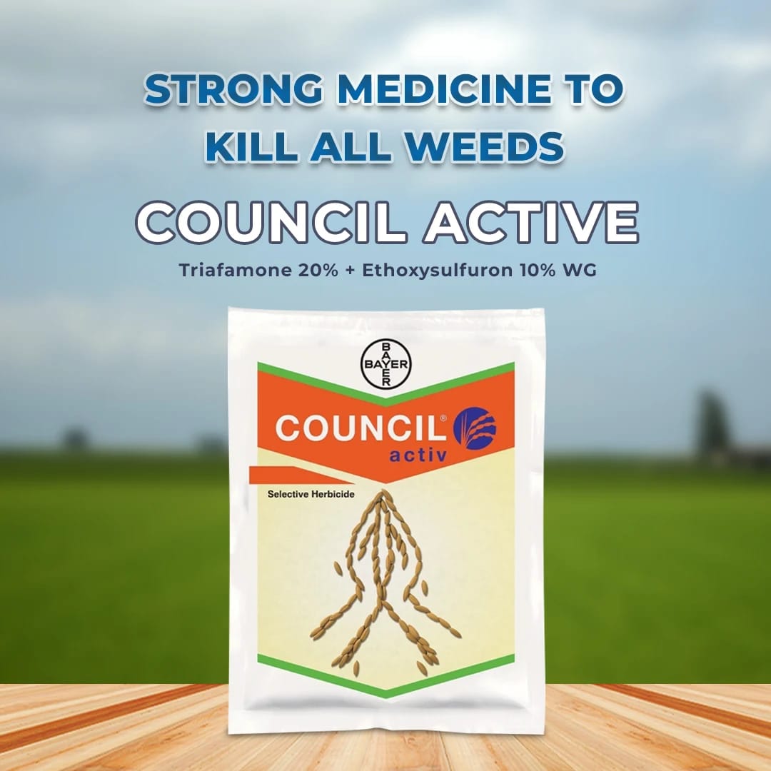 Bayer Council Active Herbicide (Triafamone 20% + Ethoxysulfuron 10% WG)