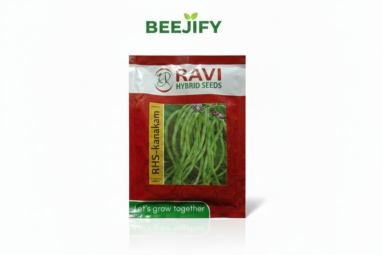 RAVI SEEDS RHS-KANAKAM Cowpea Seeds
