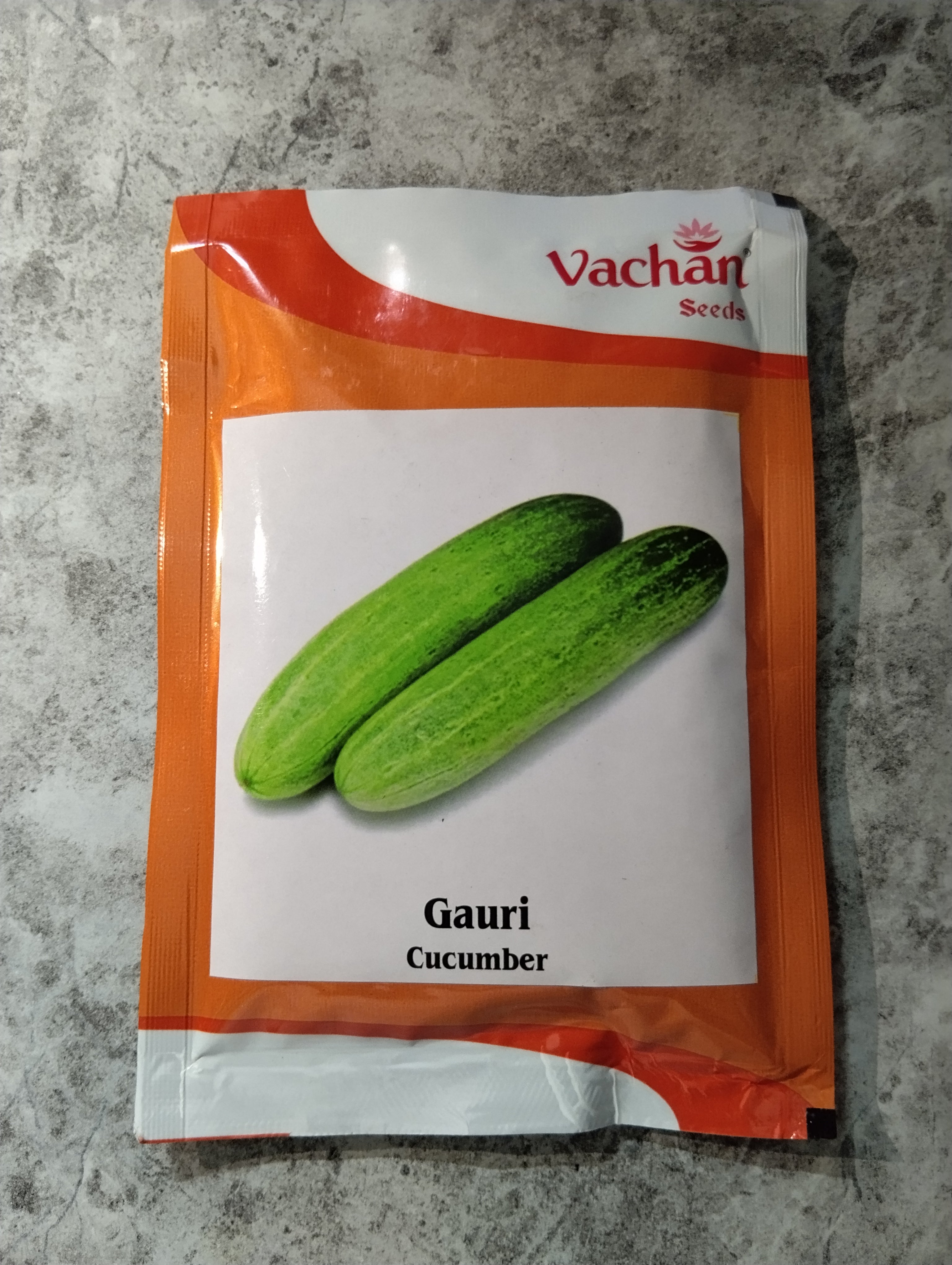 Vachan Gauri F1 hybrid cucumber seeds high yield green kheera variety for commercial farming India