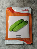 Vachan Gauri F1 hybrid cucumber seeds high yield green kheera variety for commercial farming India