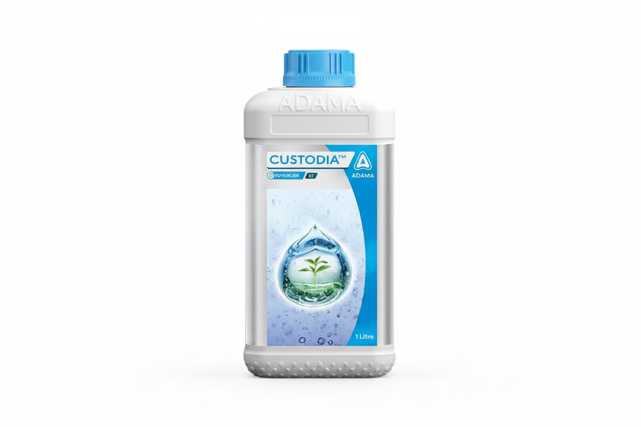 ADAMA Custodia Fungicide with Azoxystrobin and Tebuconazole for effective control of powdery mildew, rust and leaf spot diseases in grapes and chilli crops