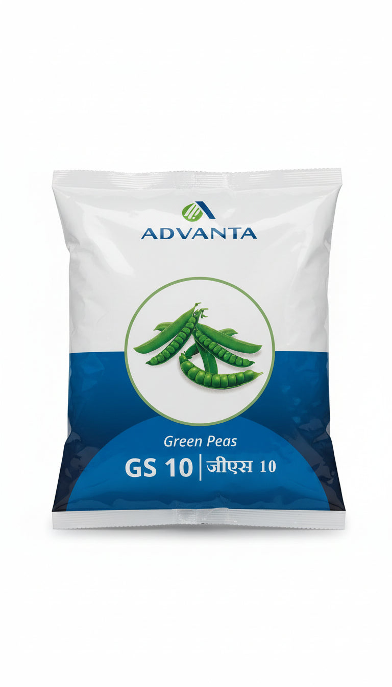 Advanta GS 10 green pea seeds high yield sweet tender pea variety for commercial farming and kitchen gardening India
