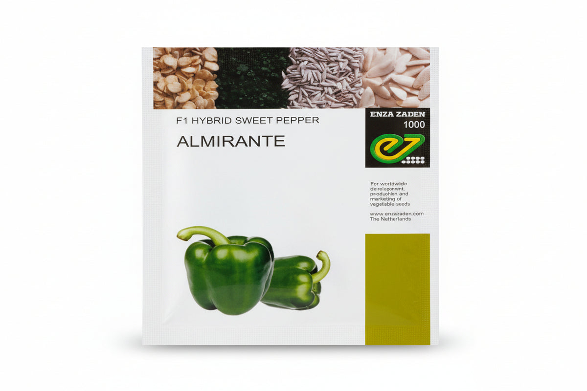 ENZA ZADEN ALMIRANTE SWEET PEPPER SEEDS 10gm